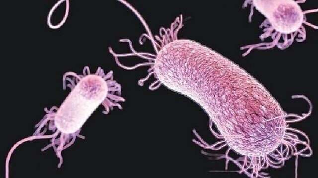 ধেয়ে আসছে সুপারবাগ