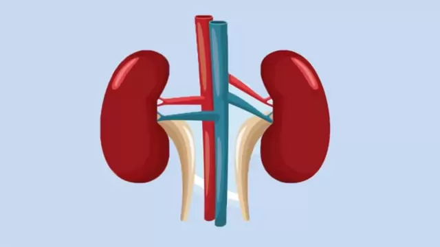 শিশুদের কিডনি রোগ