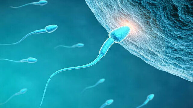 মানব প্রজননক্ষমতায় পরিবেশদূষণের প্রভাব