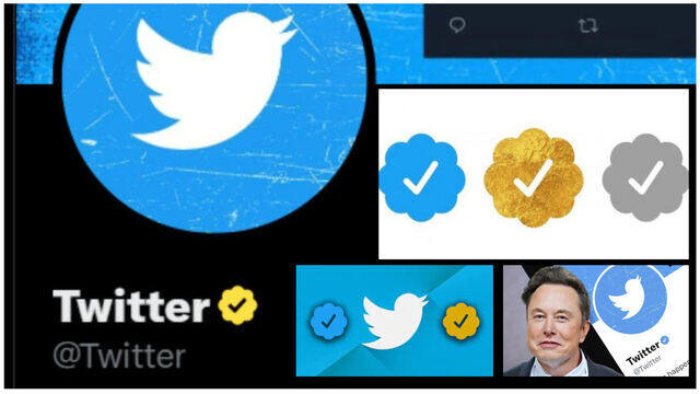 টুইটারে নীল টিকের পাশাপাশি এবার সোনালি টিক