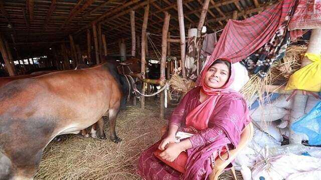 চাকরি ছেড়ে খামারি হয়ে হাটে গরু বেচতে এসেছেন সালমা