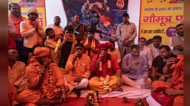 ভারতে করোনা রোধে গোমূত্র পানের পার্টি